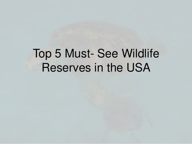 Top 5 Must- See Wildlife
Reserves in the USA
 