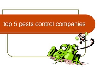 top 5 pests control companies
 