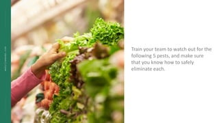 wekillweeds.com
Train your team to watch out for the
following 5 pests, and make sure
that you know how to safely
eliminat...