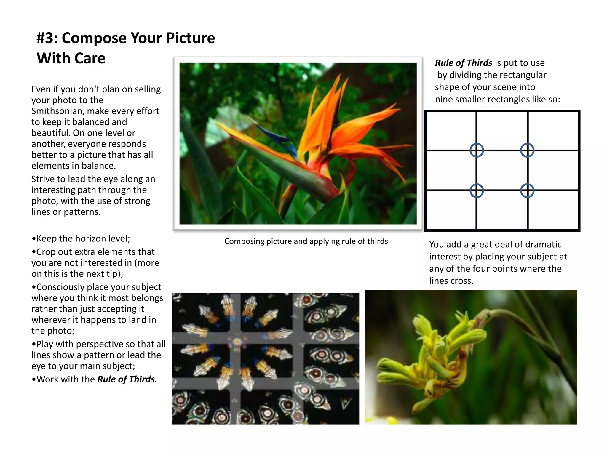 #3: Compose Your Picture
 With Care                                                                            Rule of Thirds is put to use
                                                                                       by dividing the rectangular
Even if you don't plan on selling                                                     shape of your scene into
your photo to the                                                                     nine smaller rectangles like so:
Smithsonian, make every effort
to keep it balanced and
beautiful. On one level or
another, everyone responds
better to a picture that has all
elements in balance.
Strive to lead the eye along an
interesting path through the
photo, with the use of strong
lines or patterns.

•Keep the horizon level;             Composing picture and applying rule of thirds   You add a great deal of dramatic
•Crop out extra elements that                                                        interest by placing your subject at
you are not interested in (more
on this is the next tip);                                                            any of the four points where the
                                                                                     lines cross.
•Consciously place your subject
where you think it most belongs
rather than just accepting it
wherever it happens to land in
the photo;
•Play with perspective so that all
lines show a pattern or lead the
eye to your main subject;
•Work with the Rule of Thirds.
 