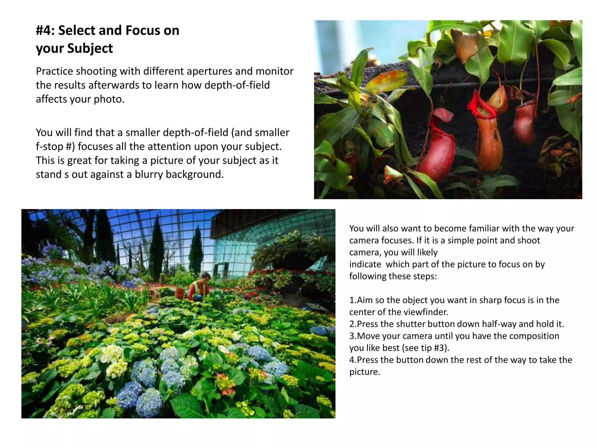 #4: Select and Focus on
your Subject
Practice shooting with different apertures and monitor
the results afterwards to learn how depth-of-field
affects your photo.

You will find that a smaller depth-of-field (and smaller
f-stop #) focuses all the attention upon your subject.
This is great for taking a picture of your subject as it
stand s out against a blurry background.



                                                           You will also want to become familiar with the way your
                                                           camera focuses. If it is a simple point and shoot
                                                           camera, you will likely
                                                           indicate which part of the picture to focus on by
                                                           following these steps:

                                                           1.Aim so the object you want in sharp focus is in the
                                                           center of the viewfinder.
                                                           2.Press the shutter button down half-way and hold it.
                                                           3.Move your camera until you have the composition
                                                           you like best (see tip #3).
                                                           4.Press the button down the rest of the way to take the
                                                           picture.
 