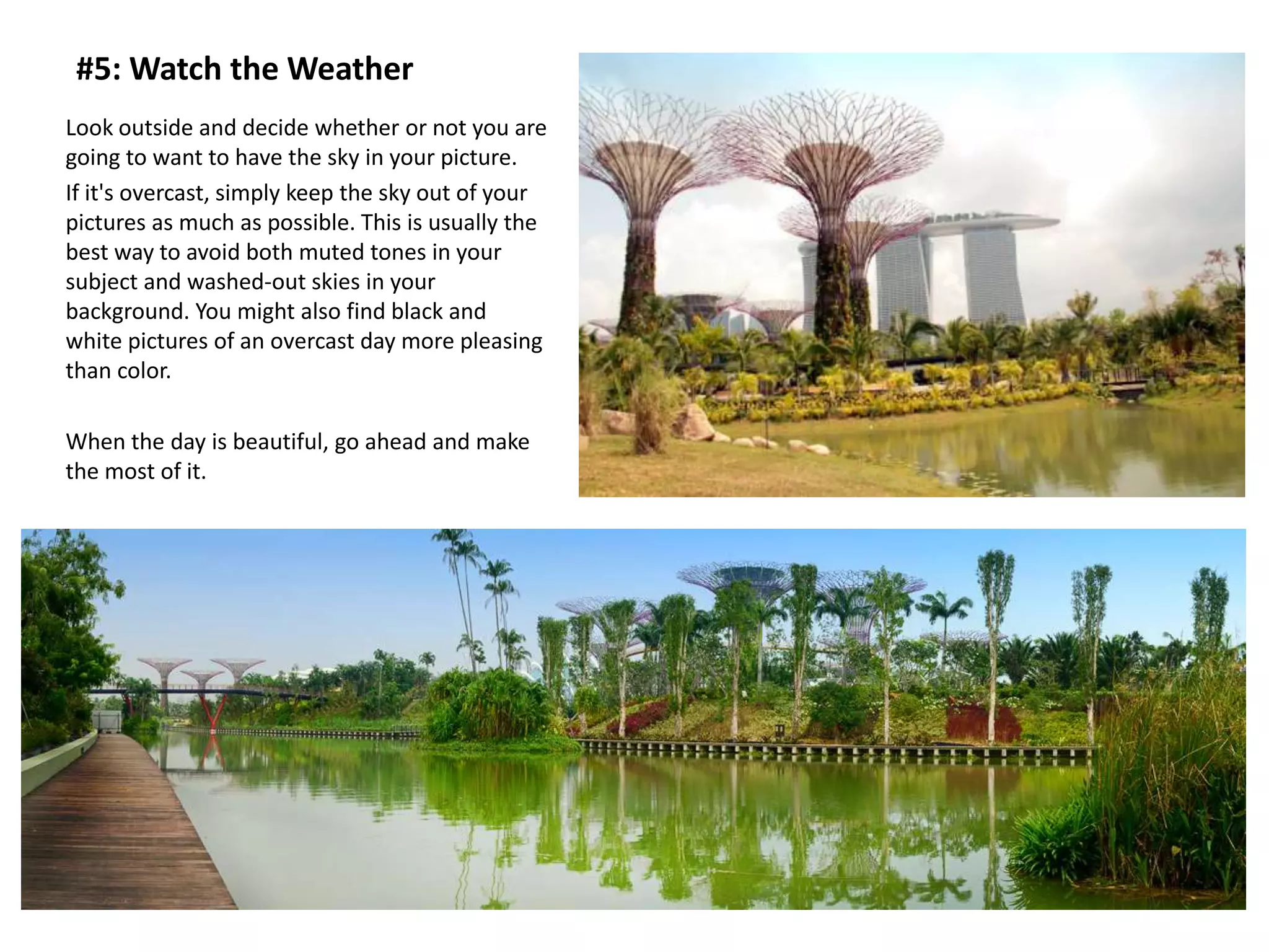 #5: Watch the Weather
Look outside and decide whether or not you are
going to want to have the sky in your picture.
If it's overcast, simply keep the sky out of your
pictures as much as possible. This is usually the
best way to avoid both muted tones in your
subject and washed-out skies in your
background. You might also find black and
white pictures of an overcast day more pleasing
than color.

When the day is beautiful, go ahead and make
the most of it.
 