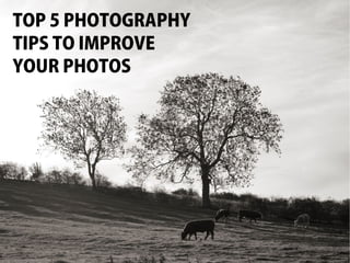 TOP 5 PHOTOGRAPHY
TIPS TO IMPROVE
YOUR PHOTOS
 
