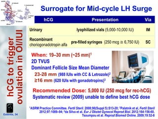 Esteves, 34
hCG Presentation Via
Urinary lyophilized vials (5,000-10,000 IU) IM
Recombinant
choriogonadotropin alfa
pre-filled syringes (250 mcg ≅ 6,750 IU) SC
1ASRM Practice Committee. Fertil Steril. 2008;90(Suppl 5):S13-20; 2Palatnik et al, Fertil Steril
2012;97:1089–94; 3da Silva et al. Eur J Obstet Gynecol Reprod Biol. 2012;164:156-60.
Tsoumpou et al. Reprod Biomed Online. 2009;19:52-8
hCGtotrigger
ovulationinOI/IUI
Recommended Dose: 5,000 IU (250 mcg for rec-hCG)
Systematic review (2009) unable to define best hCG dose
When: 19–30 mm (~25 mm)1
2D TVUS
Dominant Follicle Size Mean Diameter
23-28 mm (988 IUIs with CC & Letrozole)2
≥16 mm (620 IUIs with gonadotropins)3
 