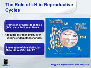 Esteves, 39
• Mild Stimulation
(low dose rec-hFSH +
GnRH ant.):
• 5 oocytes
retrieved;
• IR = 31%
• Conventional
Stimulation :
• 10 oocytes
retrieved;
• IR = 29%
Verberg et al.
Hum Reprod Update 2009; 15: 5–12.
Promotion of Steroidogenesis
(TCs) early Follicular Phase
• Adequate estrogen production
• Uterine/endometrial changes
Stimulation of final Follicular
Maturation (GCs) late FP
Esteves, 39 Alviggi et al. Reprod Biomed Online 2006;12:221.
 