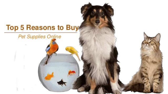 buy pet supplies online