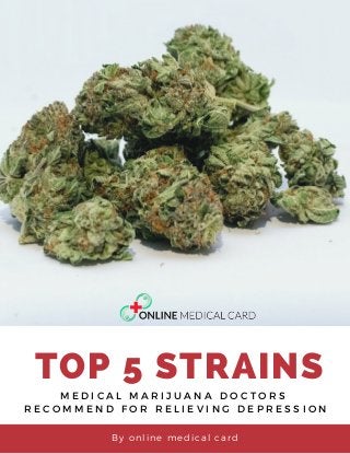 By online medical card
TOP 5 STRAINS
M E D I C A L M A R I J U A N A D O C T O R S
R E C O M M E N D F O R R E L I E V I N G   D E P R E S S I O N
 
