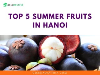 G O A S I A D A Y T R I P . C O M
TOP 5 SUMMER FRUITS
IN HANOI
 