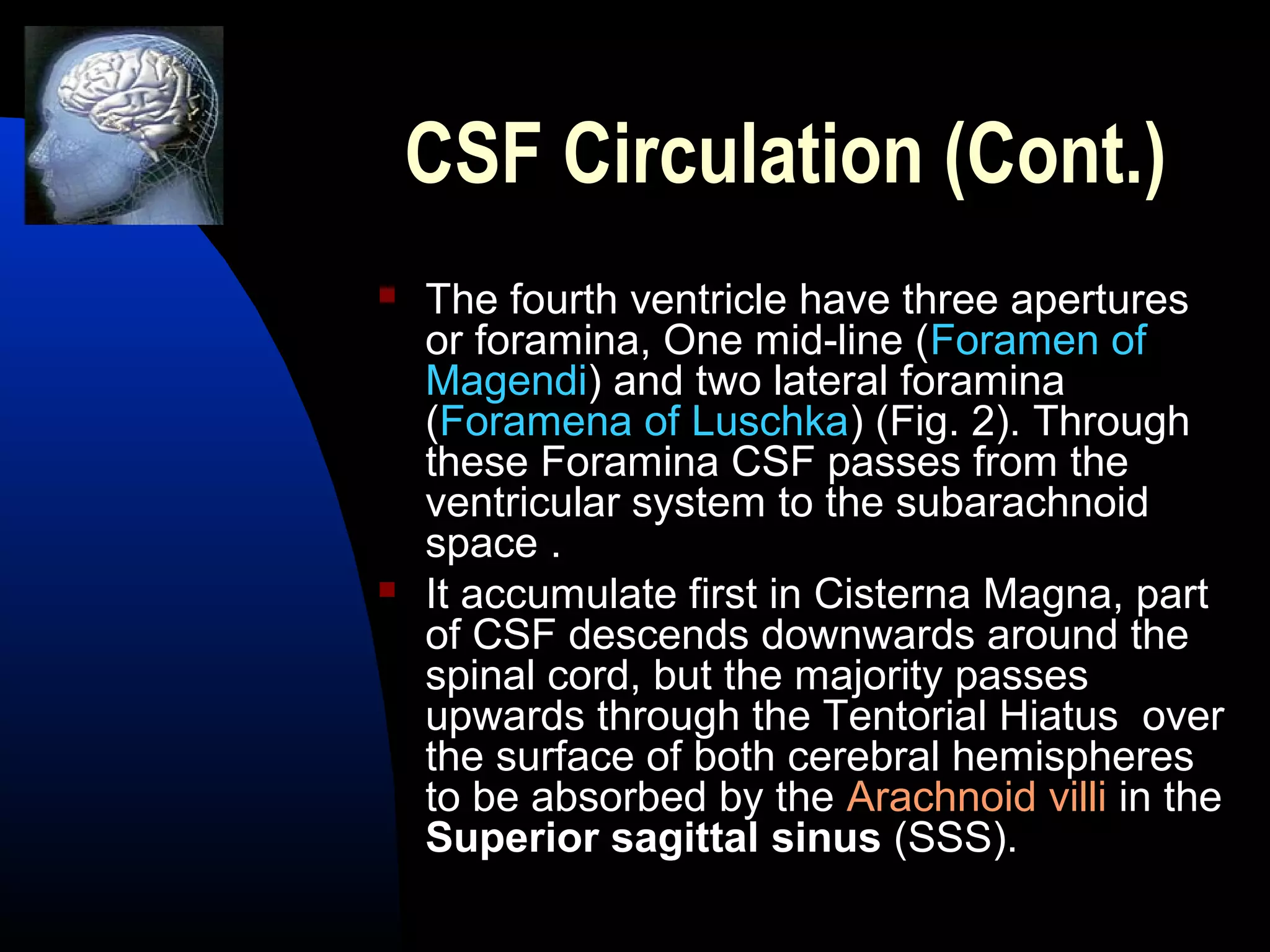 CSF Circulation (Cont.)
 The fourth ventricle have three apertures
or foramina, One mid-line (Foramen of
Magendi) and two lateral foramina
(Foramena of Luschka) (Fig. 2). Through
these Foramina CSF passes from the
ventricular system to the subarachnoid
space .
 It accumulate first in Cisterna Magna, part
of CSF descends downwards around the
spinal cord, but the majority passes
upwards through the Tentorial Hiatus over
the surface of both cerebral hemispheres
to be absorbed by the Arachnoid villi in the
Superior sagittal sinus (SSS).
 