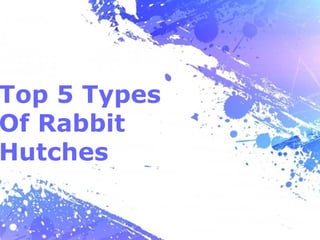 Top 5 Types
Of Rabbit
Hutches


              Page 1
 