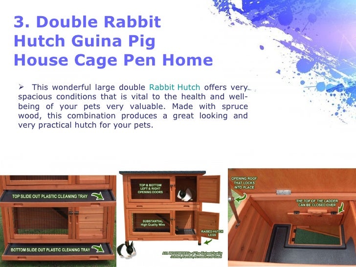 Top 5 Types of Rabbit Hutches