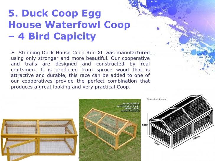 types of rabbit hutches