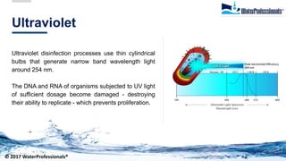 Ultraviolet
Ultraviolet disinfection processes use thin cylindrical
bulbs that generate narrow band wavelength light
around 254 nm.
The DNA and RNA of organisms subjected to UV light
of sufficient dosage become damaged - destroying
their ability to replicate - which prevents proliferation.
© 2017 WaterProfessionals®
 