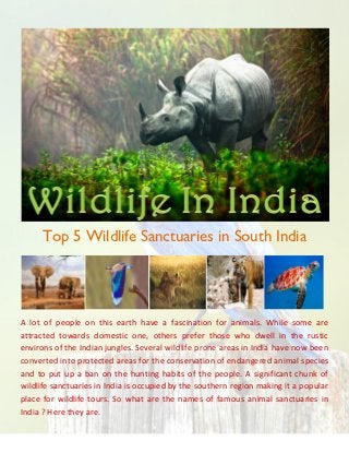 Top 5 Wildlife Sanctuaries in South India




A lot of people on this earth have a fascination for animals. While some are
attracted towards domestic one, others prefer those who dwell in the rustic
environs of the Indian jungles. Several wildlife prone areas in India have now been
converted into protected areas for the conservation of endangered animal species
and to put up a ban on the hunting habits of the people. A significant chunk of
wildlife sanctuaries in India is occupied by the southern region making it a popular
place for wildlife tours. So what are the names of famous animal sanctuaries in
India ? Here they are.
 