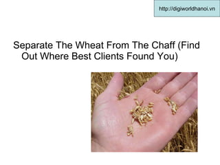 Separate The Wheat From The Chaff (Find Out Where Best Clients Found You)  http://digiworldhanoi.vn 