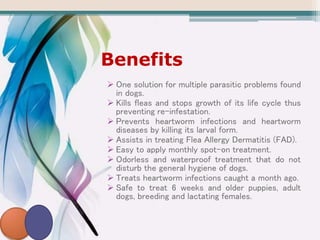 Benefits
 One solution for multiple parasitic problems found
in dogs.
 Kills fleas and stops growth of its life cycle thus
preventing re-infestation.
 Prevents heartworm infections and heartworm
diseases by killing its larval form.
 Assists in treating Flea Allergy Dermatitis (FAD).
 Easy to apply monthly spot-on treatment.
 Odorless and waterproof treatment that do not
disturb the general hygiene of dogs.
 Treats heartworm infections caught a month ago.
 Safe to treat 6 weeks and older puppies, adult
dogs, breeding and lactating females.
 