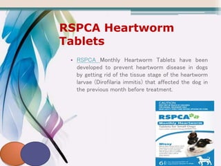 RSPCA Heartworm
Tablets
• RSPCA Monthly Heartworm Tablets have been
developed to prevent heartworm disease in dogs
by getting rid of the tissue stage of the heartworm
larvae (Dirofilaria immitis) that affected the dog in
the previous month before treatment.
 