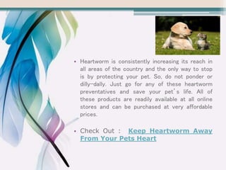 • Heartworm is consistently increasing its reach in
all areas of the country and the only way to stop
is by protecting your pet. So, do not ponder or
dilly-dally. Just go for any of these heartworm
preventatives and save your pet’s life. All of
these products are readily available at all online
stores and can be purchased at very affordable
prices.
• Check Out : Keep Heartworm Away
From Your Pets Heart
 
