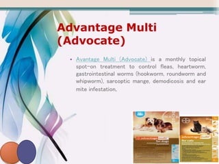 Advantage Multi
(Advocate)
• Avantage Multi (Advocate) is a monthly topical
spot-on treatment to control fleas, heartworm,
gastrointestinal worms (hookworm, roundworm and
whipworm), sarcoptic mange, demodicosis and ear
mite infestation.
 