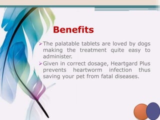 Benefits
The palatable tablets are loved by dogs
making the treatment quite easy to
administer.
Given in correct dosage, Heartgard Plus
prevents heartworm infection thus
saving your pet from fatal diseases.
 