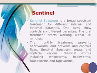 Sentinel
• Sentinel Spectrum is a broad spectrum
treatment for different internal and
external parasites. One tasty chew
controls six different parasites. The oral
treatment starts working within 30
minutes.
• The monthly treatment prevents
heartworms, and prevents and controls
fleas. Sentinel Spectrum treats and
controls various intestinal worms
including whipworms, hookworms,
roundworms and tapeworms.
 