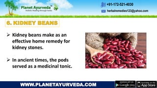 herbalremedies123@yahoo.com
+91-172-521-4030
WWW.PLANETAYURVEDA.COM
 Kidney beans make as an
effective home remedy for
kidney stones.
 In ancient times, the pods
served as a medicinal tonic.
 