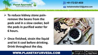 herbalremedies123@yahoo.com
+91-172-521-4030
WWW.PLANETAYURVEDA.COM
 To reduce kidney stone pain-
remove the beans from the
pods and in a slow cooker, boil
the pods in purified water for
6 hours.
 Once finished, strain the liquid
and let it cool before drinking.
Drink throughout the day.
 