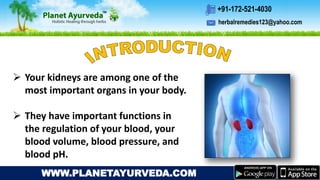 herbalremedies123@yahoo.com
+91-172-521-4030
WWW.PLANETAYURVEDA.COM
 Your kidneys are among one of the
most important organs in your body.
 They have important functions in
the regulation of your blood, your
blood volume, blood pressure, and
blood pH.
 