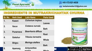 herbalremedies123@yahoo.com
+91-172-521-4030
WWW.PLANETAYURVEDA.COM
Sr. No. Herb Used Latin Name Parts Used
1. Kaasni Cichorium intybus
Leaves
2. Varun Crataeva nurvala
Bark
3. Punarnava Boerrhavia diffusa
Root
4. Gokshur Tribulus terrestris
Whole
5. Shigru Moringa oleifera
Bark
6. Apamarg Achyranthes
 