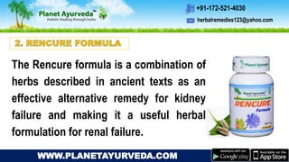 herbalremedies123@yahoo.com
+91-172-521-4030
WWW.PLANETAYURVEDA.COM
The Rencure formula is a combination of
herbs described in ancient texts as an
effective alternative remedy for kidney
failure and making it a useful herbal
formulation for renal failure.
 