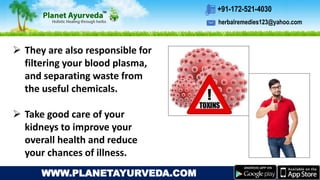 herbalremedies123@yahoo.com
+91-172-521-4030
WWW.PLANETAYURVEDA.COM
 They are also responsible for
filtering your blood plasma,
and separating waste from
the useful chemicals.
 Take good care of your
kidneys to improve your
overall health and reduce
your chances of illness.
 