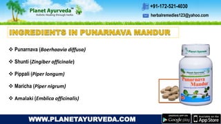 herbalremedies123@yahoo.com
+91-172-521-4030
WWW.PLANETAYURVEDA.COM
 Punarnava (Boerhaavia diffusa)
 Shunti (Zingiber officinale)
 Pippali (Piper longum)
 Maricha (Piper nigrum)
 Amalaki (Emblica officinalis)
 