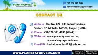 herbalremedies123@yahoo.com
+91-172-521-4030
WWW.PLANETAYURVEDA.COM
Address : Plot No. 627, JLPL Industrial Area,
Sector - 82, Mohali - 140306, Punjab (INDIA)
Phone : +91-172-521-4030 (Work)
Websites : www.planetayurveda.com,
www.alwaysayurveda.com
E-mail ID : herbalremedies123@yahoo.com
 