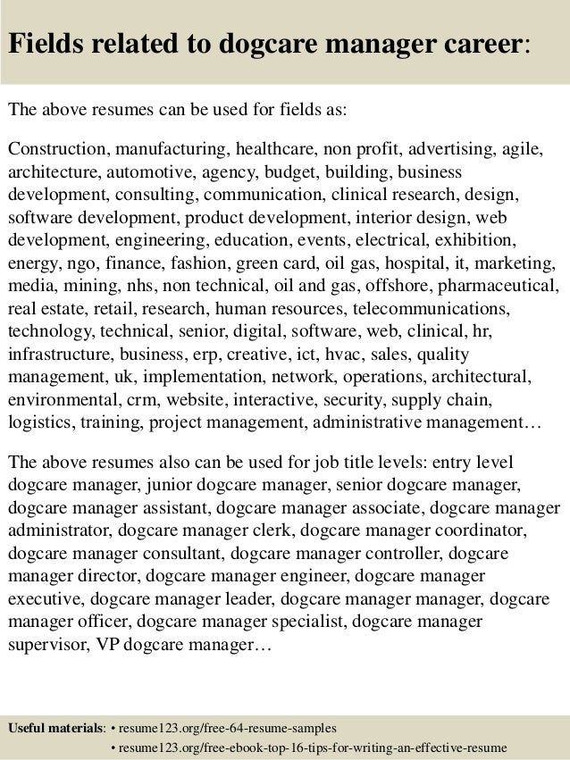 junior sales manager resume
