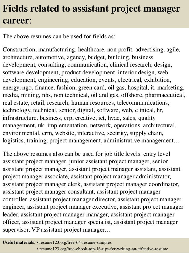 assistant project manager resumes