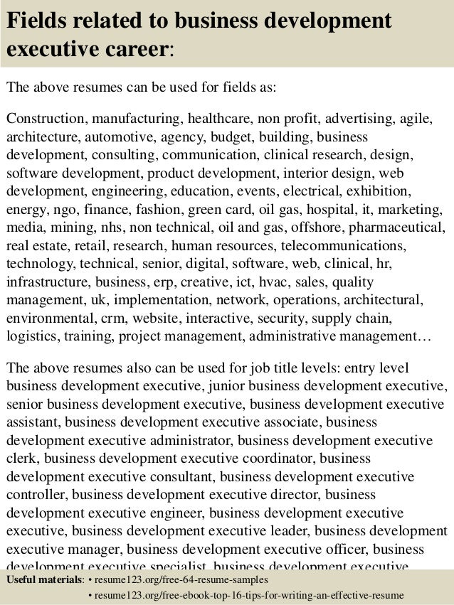Development executive resume