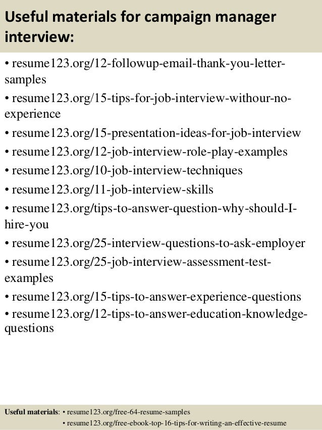 project leader resumes