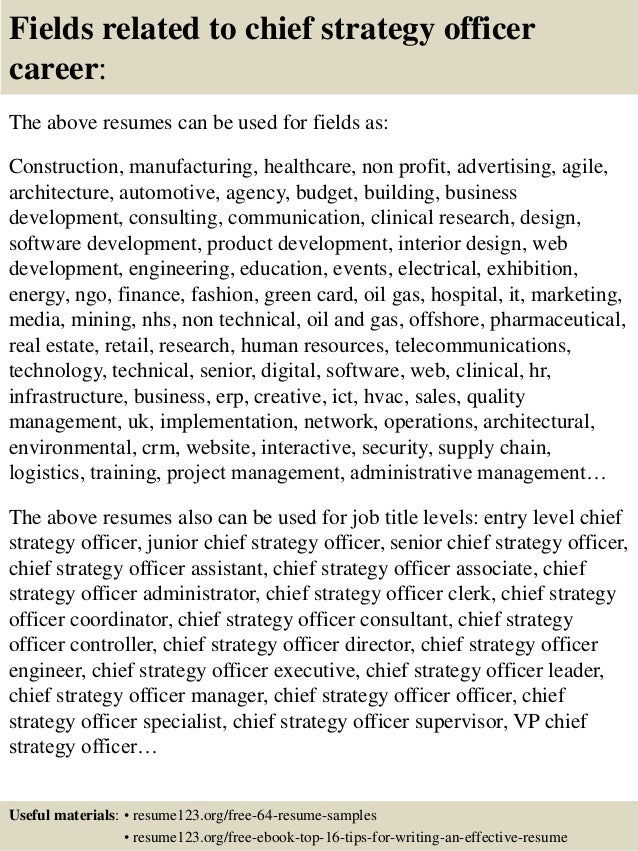 top 8 chief strategy officer resume samples resume electrical engineering