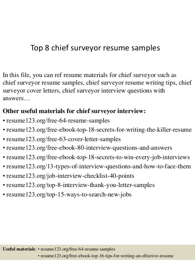 Top 8 Chief Surveyor Resume Samples - 