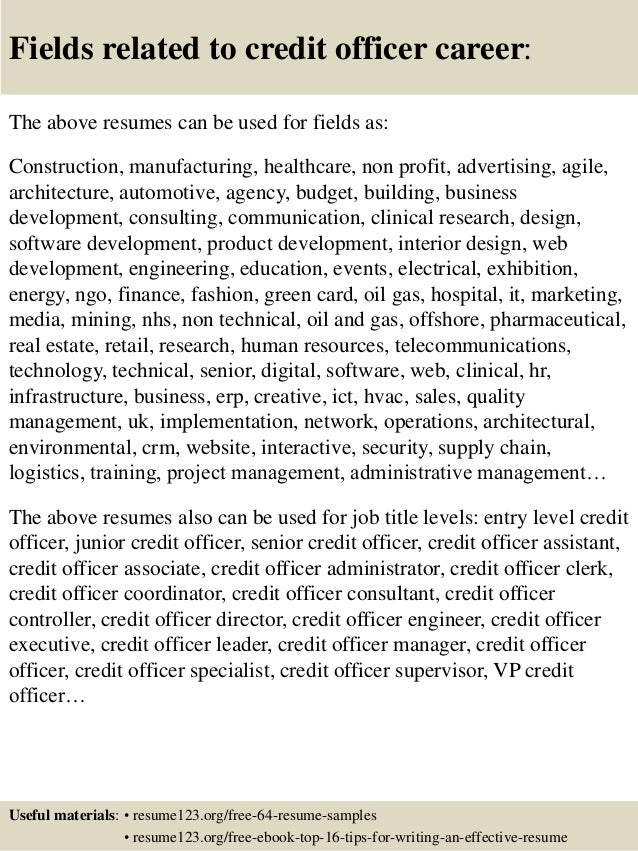 16 Fields Related To Credit Officer 16 Fields Related To Credit Officer