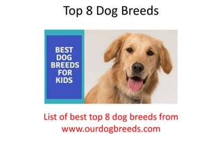 Top 8 Dog Breeds
List of best top 8 dog breeds from
www.ourdogbreeds.com
 