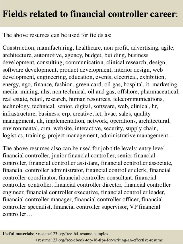 16 fields related to financial controller