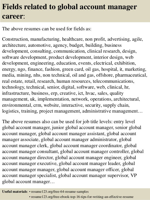 Top 8 Global Account Manager Resume Samples