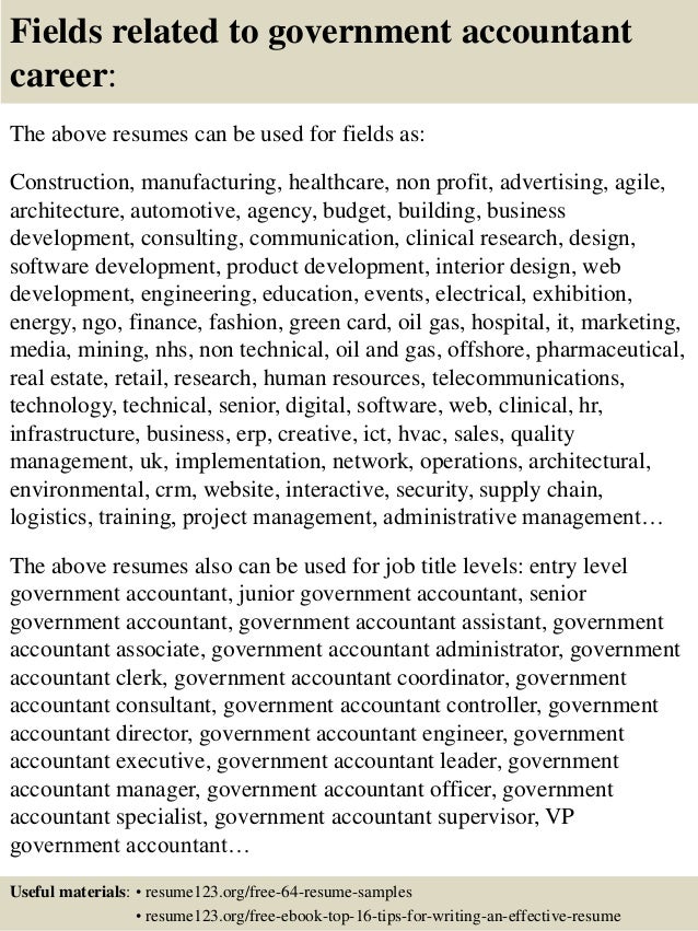 top 8 government accountant resume samples government resumes