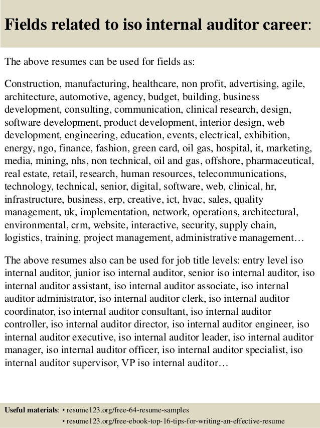 sample resume for internal auditor