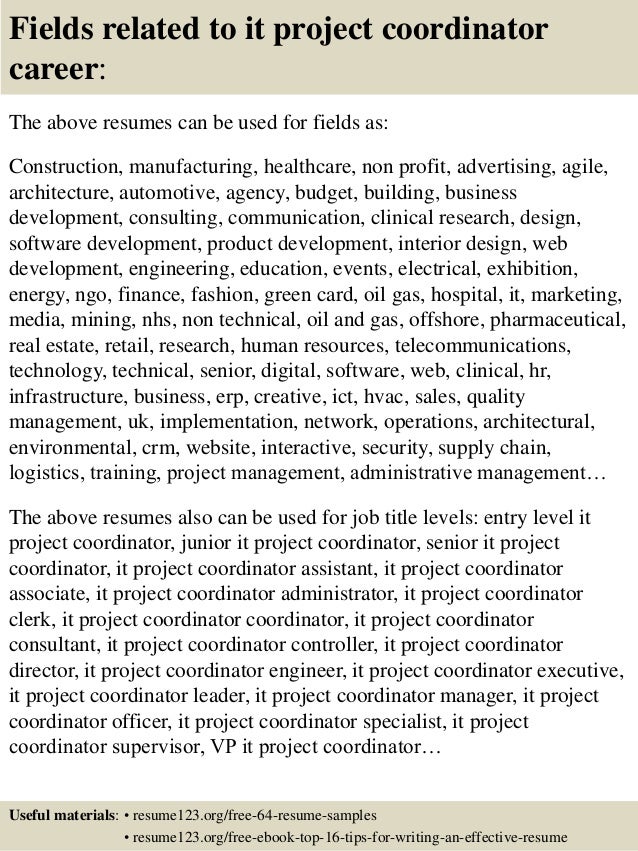 Top 8 it project coordinator resume samples