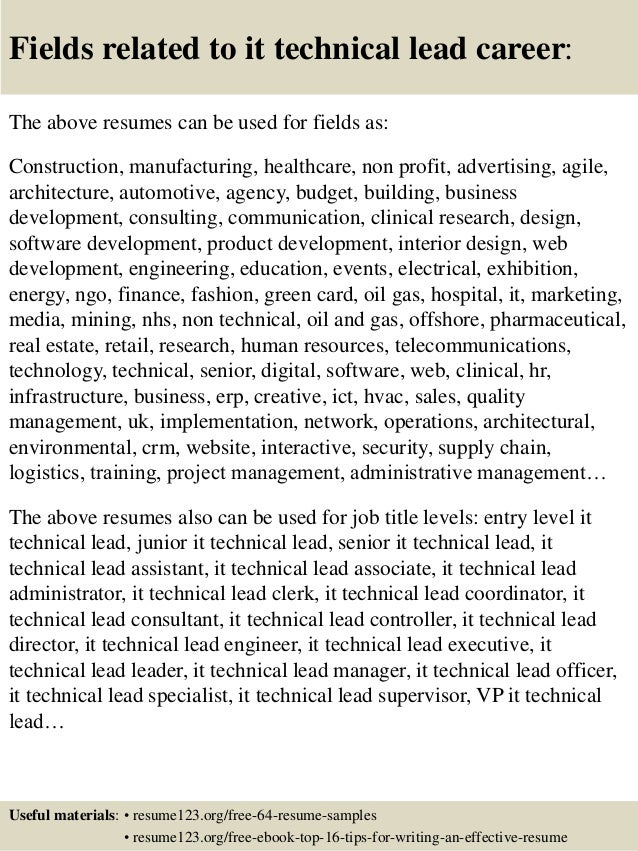 lead resumes