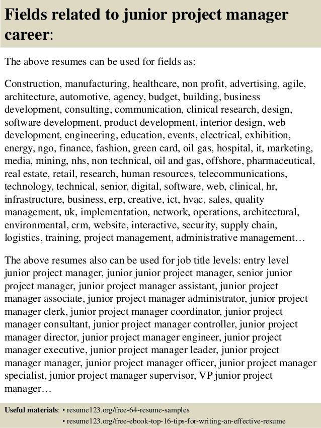 it manager resume sample