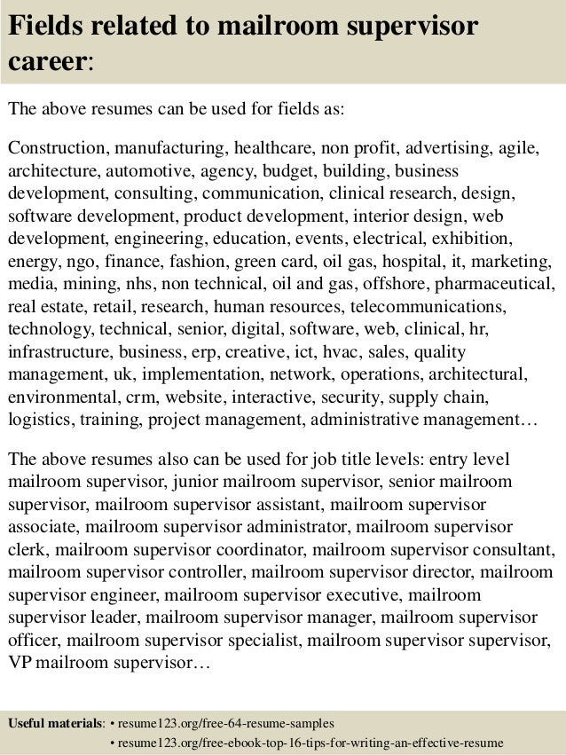 assistant auditor cover letter