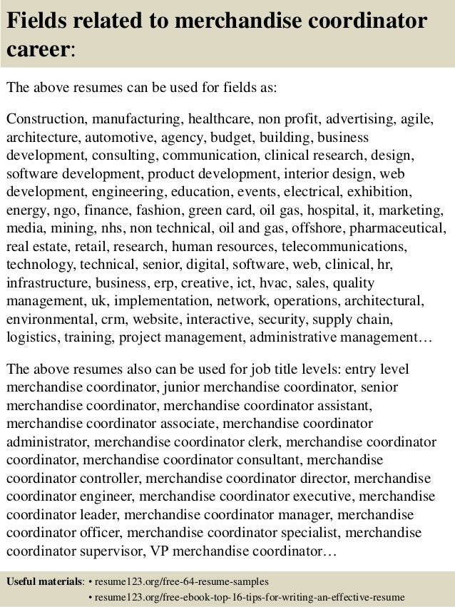 Sample resume for mechandise